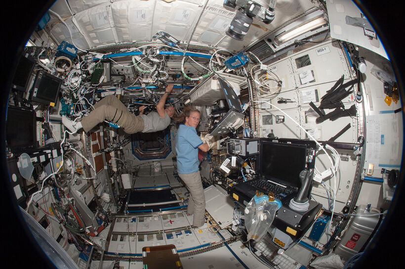 25 лет Международной Космической Станции: Археологические Исследования Жизни в Космосе