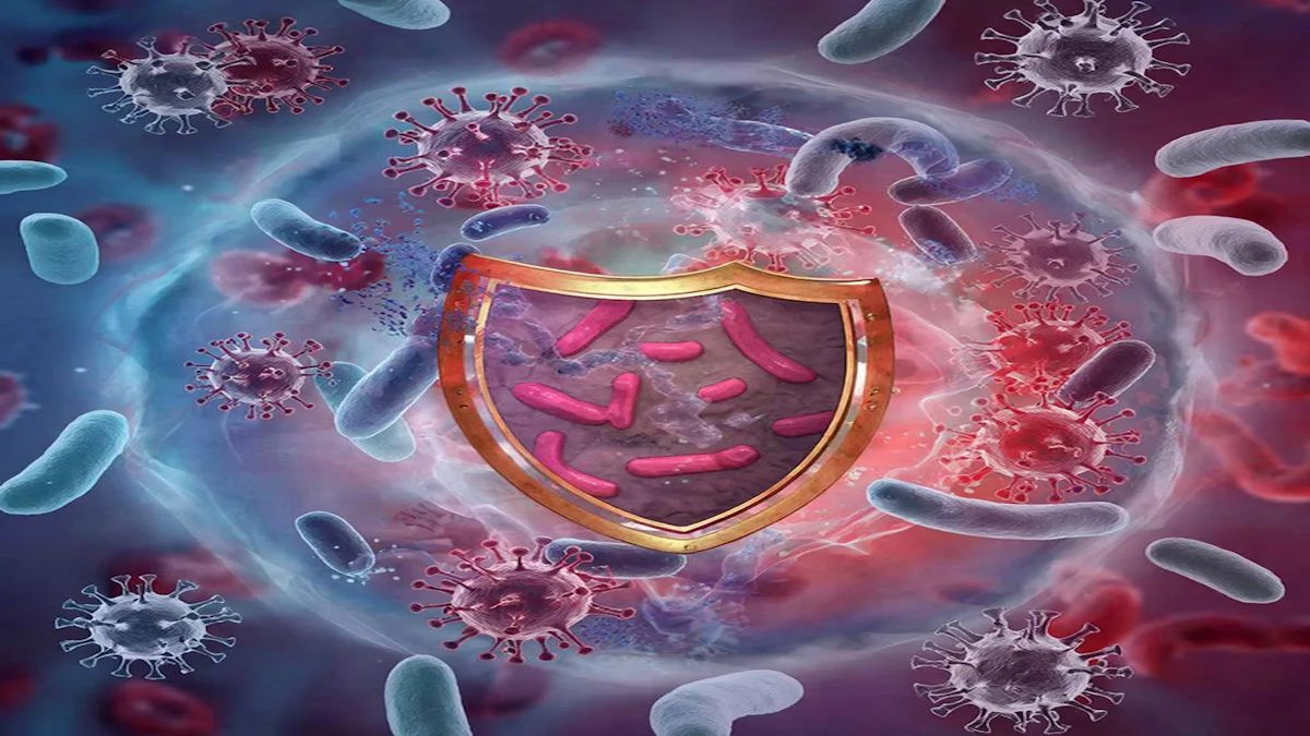 Иммунная защита: как определённый класс клеток сохраняет стойкость к вирусам на протяжении месяцев и лет