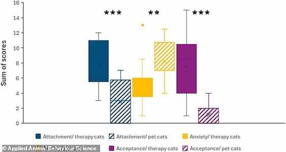 Независимость или холодность? Ученые подтвердили: кошкам действительно не нужны хозяева