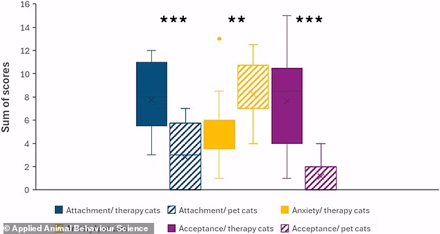 Независимость или холодность? Ученые подтвердили: кошкам действительно не нужны хозяева