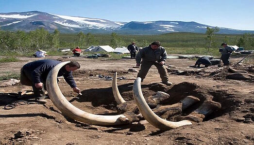 Древние бивни Аляски: ключ к загадке первого пути в Америку