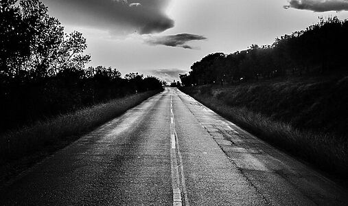 Президент в изгнании: 21-летний британец создал свою страну на ничейной земле между Сербией и Хорватией