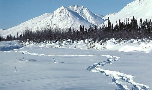 Загадка в горах: шестеро погибших в двух связанных инцидентах приводят полицию в тупик