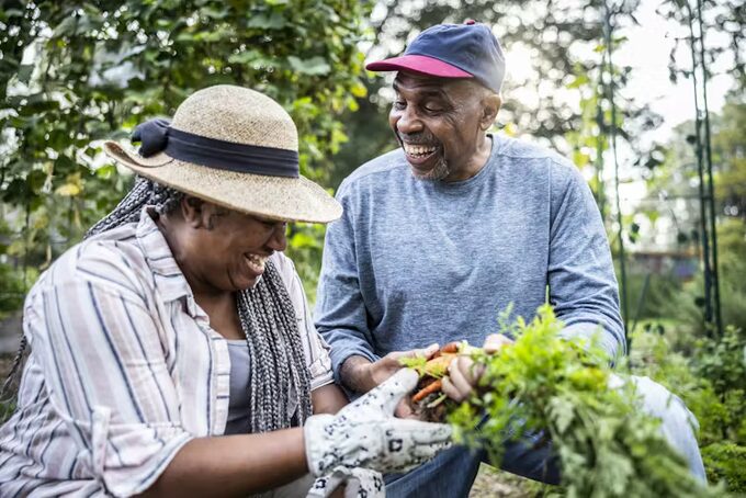 Молодость в кишечнике: ученые выяснили, что микробы могут замедлять старение
