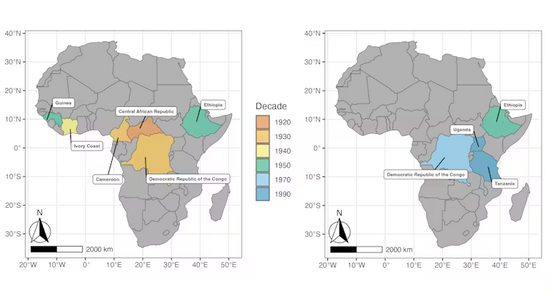 Тихий убийца чашки кофе: как грибок-эволюционист уничтожает плантации и чему нас научила пандемия века»