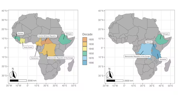 Тихий убийца чашки кофе: как грибок-эволюционист уничтожает плантации и чему нас научила пандемия века»