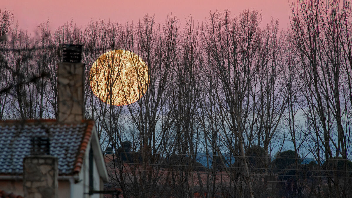 Лунное затмение марта: не пропустите небесное шоу в предрассветном небе
