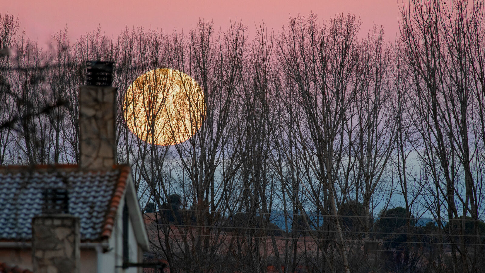 Лунное затмение марта: не пропустите небесное шоу в предрассветном небе
