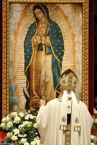 Тайна в зрачке: ученые нашли 13 фигур в глазах Девы Марии на мантии из кактуса