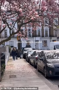 «Ложная весна» в Британии: от рекордного тепла к снегу и морозам за несколько дней