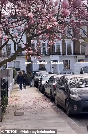 «Ложная весна» в Британии: от рекордного тепла к снегу и морозам за несколько дней