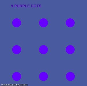 Цветовая иллюзия, которая обманывает мозг: почему одни и те же точки кажутся то синими, то фиолетовыми