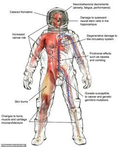 10 дней до Луны и обратно: какие опасности для организма таит миссия «Артемида-2»