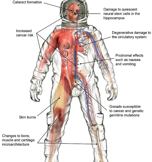 10 дней до Луны и обратно: какие опасности для организма таит миссия «Артемида-2»