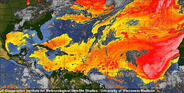 Опасная красота: гигантский шлейф пыли из Сахары накроет юго-восток США