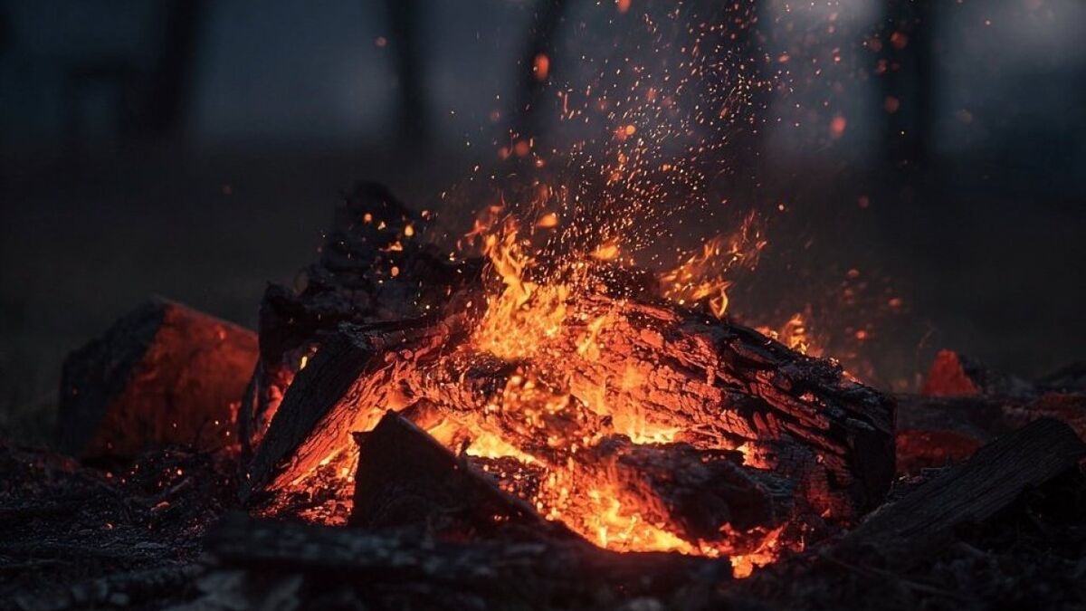 Огонь, которого не ждали: древнейшие следы Homo erectus переписывают историю на полмиллиона лет