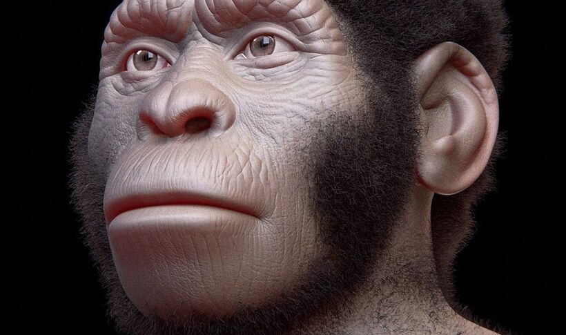 Тайна пещеры Восходящей звезды: почему Homo Naledi хоронили только женщин