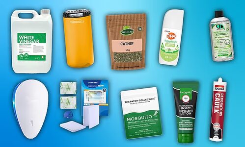 Лето без укусов: 14 хитрых и натуральных способов спастись от комаров и мух без химии