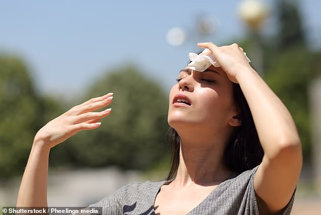 Адская жара до 41°C и потопы: на Нью-Йорк и Восточное побережье обрушился двойной удар стихии