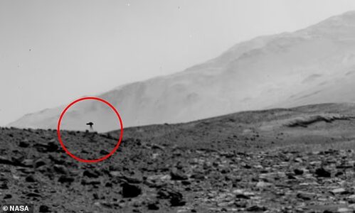 «Медуза» или помехи: что Curiosity снял на Марсе и почему кадр снова стал вирусным