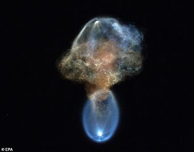 Космическая медуза» осветила небо над США: как запуск SpaceX создал светящееся чудо