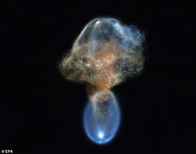 Космическая медуза» осветила небо над США: как запуск SpaceX создал светящееся чудо
