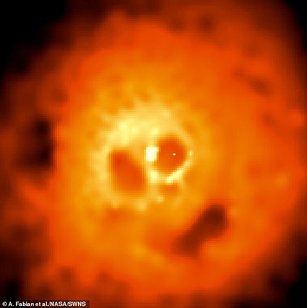 Жуткое изображение с орбитальной обсерватории Chandra показывает скопление галактик Персея в рентгеновских лучах. NASA описывает его так: «Как глаза в черепе, два тёмных пузыря обрамляют яркий центральный источник рентгеновского излучения». Жуткое изображение с орбитальной обсерватории Chandra показывает скопление галактик Персея в рентгеновских лучах. NASA описывает его так: «Как глаза в черепе, два тёмных пузыря обрамляют яркий центральный источник рентгеновского излучения».